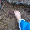 마하헬스크럽 이미지