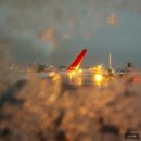 세븐일레븐남광로점 | 제주도 1박2일 여행 / 비용 [1일차]