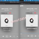 tumu12451 / 20211113 / 오후11시 이미지