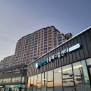 마음편한 동물메디컬센터 이미지