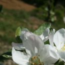 속리농원 이미지