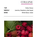 진아세탁 | 비비앙 월넛크릭그린 오드퍼퓸 비누향 향수추천 (+ 콜린 오드퍼퓸 샴푸향)