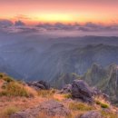 소스테누토 이미지