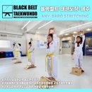 유일태권도장 네이버블로그