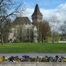 별이빛나는호수 | 헝가리 여행 정보, 별처럼 빛나는 도시