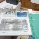 참소중한치과의원 네이버블로그