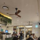 키친스탠다드 강남점 26호 | 삼성역 파르나스몰 맛집 허머스키친 내돈내산 후기