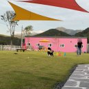 세모 하우스 | 단양 애견동반펜션 &lt;세모하우스&gt; 2박3일 내돈내산 추천 리뷰