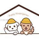 놀다가개유치원 | 놀다가개유치원 강아지와의 완벽한 하루, 직접 가보니 어땠을까?