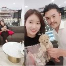 펫 갤러리아 이미지