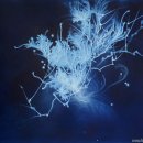 WATERSCAPE 이미지