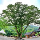 논산시 가야곡면 조정리 경로당 | 24년 7월 13일 토요일 오랜만에 논산시 제1경부터 11경까지 아름다운 여행을 하려고 물과 카메라 등을...