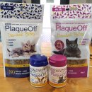 (주)핫독 이미지