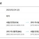 코타강쥐 이미지