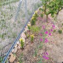 광성농장 이미지