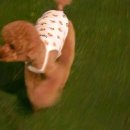 짐스맨헬스클럽 이미지