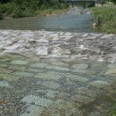 캠핑포유캠핑장 이미지