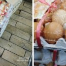 우렁이밥상협동조합 이미지