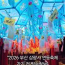 2026 부산 삼광사 연등축제 일정 주차 총정리 아이랑 가기 전 필수정보