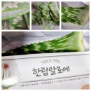 [상품리뷰] 친환경유기농장 한림알로에 사포나리아 생잎 구매후기~!!
