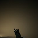 동진 수족관 이미지