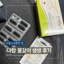 다이버마트 | [이집트 여행] 다합 천마트 쇼핑 리스트 & 과일가게 추천 (feat. 물갈이 생생한 후기)