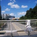 크림슨스튜디오 이미지