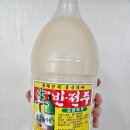 사천탁주 이미지
