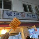 이사알바