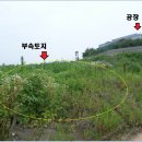 화수공인중개사사무소 이미지