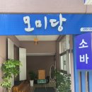 모미당 이미지