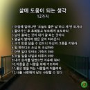 포란재로 네이버블로그