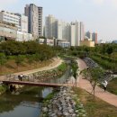 망월천_호수공원4 이미지