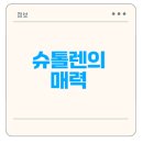 슈톨렌 | 슈톨렌 배송 후기 진한 과일향과 가격 및 보관법 소개