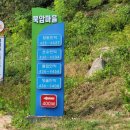 직지민박