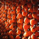 토요일오후 이미지