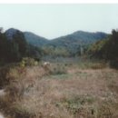 비룡그린파크 이미지