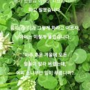 로담 이미지