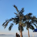 화남파출소 | 포항송도해수욕장 산책 8월 축제정보 포항송도비치 레트로페스티벌