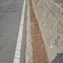 대성농산영농조합법인 | 대구 달성 도동서원 &amp; 현풍곽씨십이정려각 방문