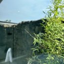 잎새바람 펜션 이미지