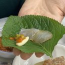 영진회센타 - 동래구 충렬사로 80 | 영진회센타