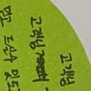 엠브이피자 이미지