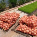 구인농장 이미지