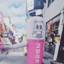 냥이싸롱 이미지