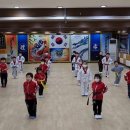 용인대 미르 태권도장 이미지