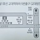 소양강메기생오리