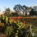 용궁석쇠구이 이미지