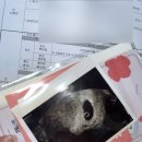 세가온산부인과의원 이미지