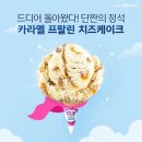 베라 이미지